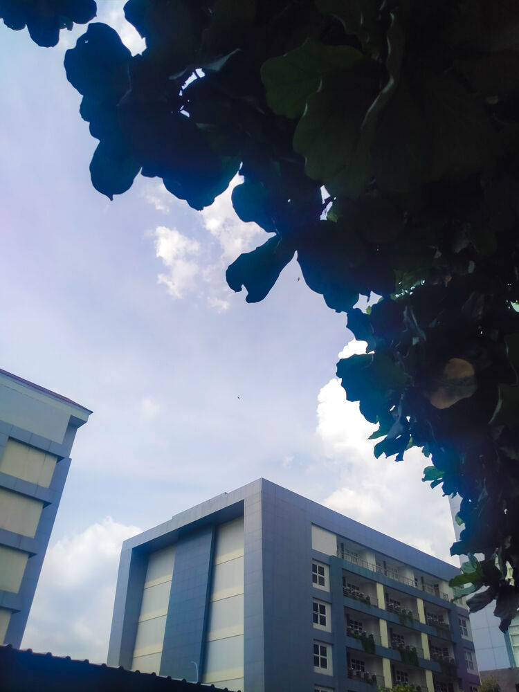 Blue campus building under a bright sky, framed by tree leaves